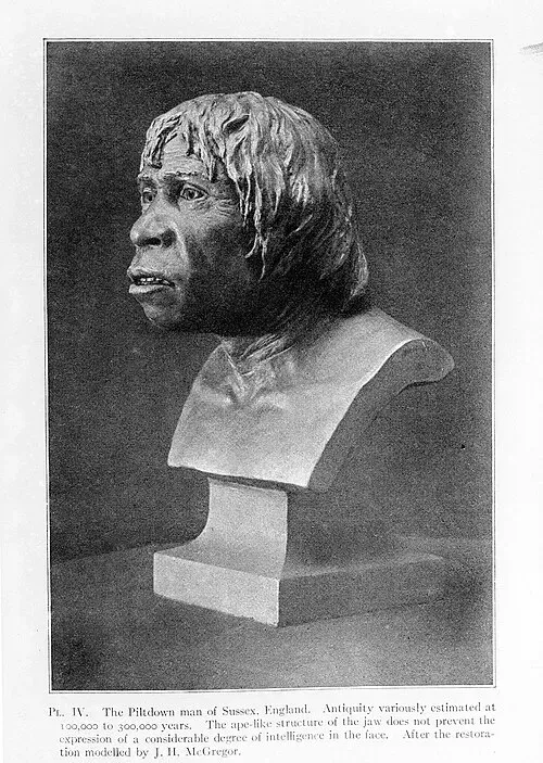 A black-and-white photograph of a sculpted bust representing an early human ancestor, shown in profile against a plain background.
