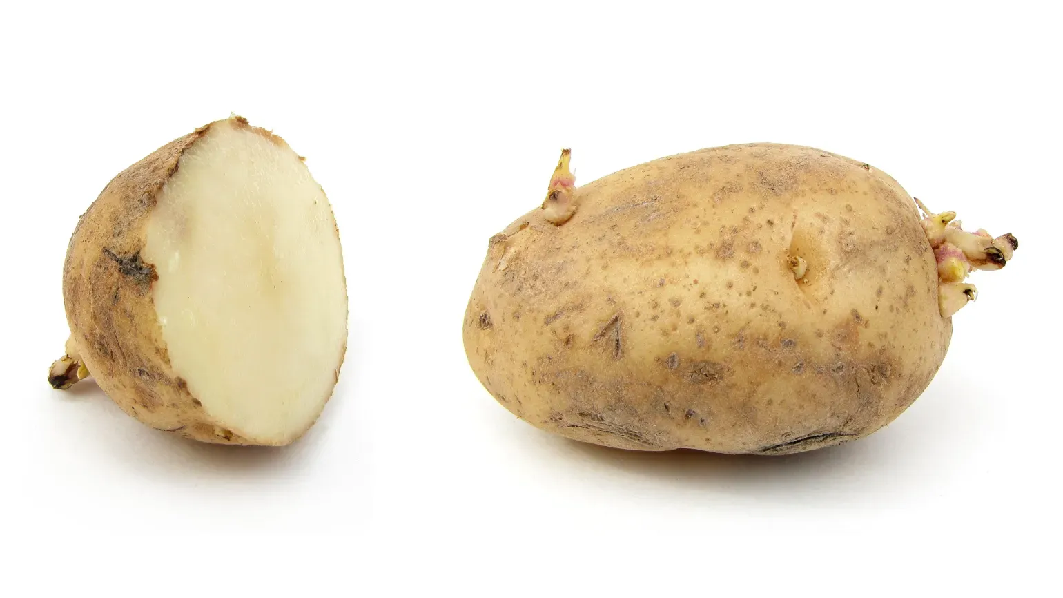 One potato cut in half and another whole potato, both with green sprouts