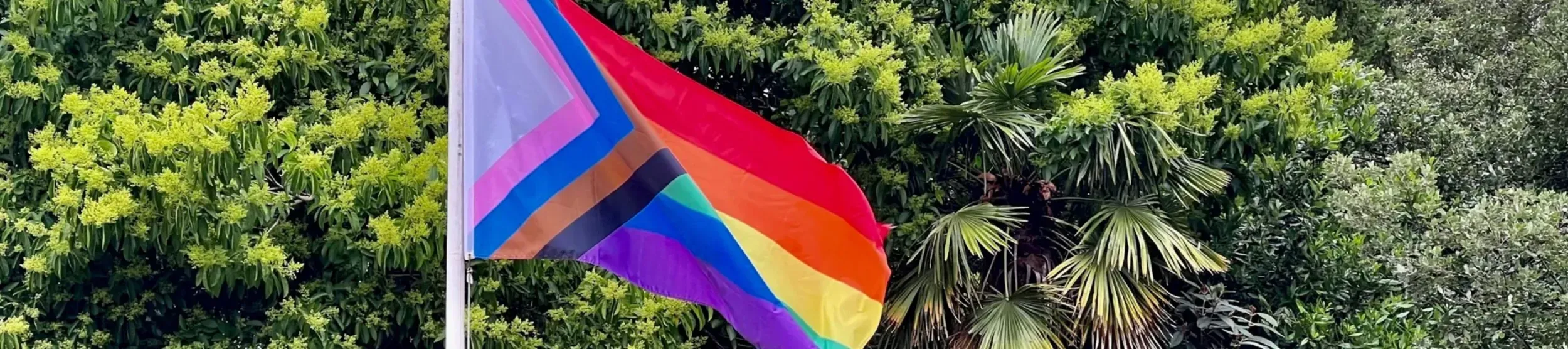 A rainbow pride flag with the pink white and blue trans colours flying in front of green trees