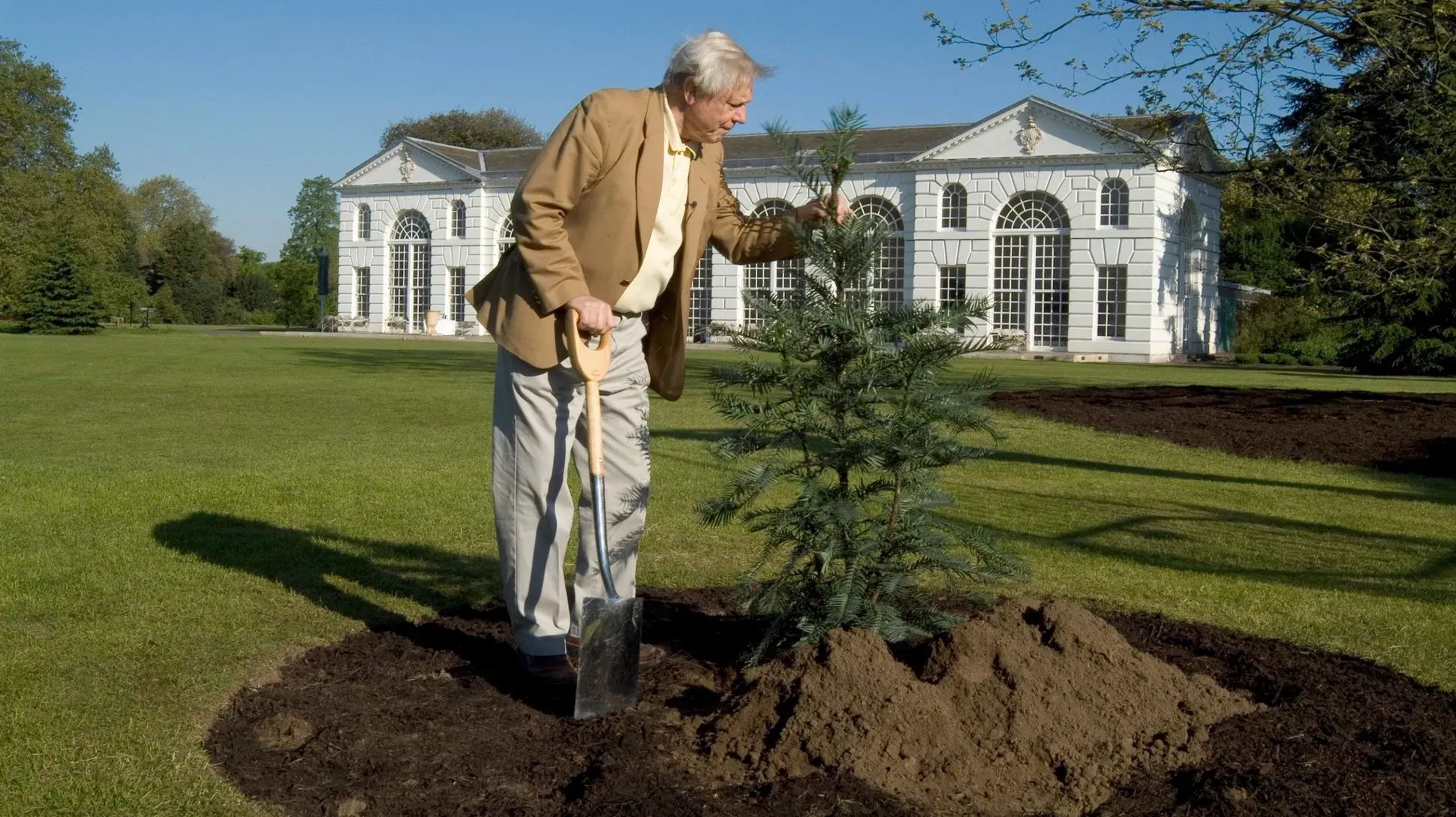 SIr David Attenborough planting a small tree in front of a large white building