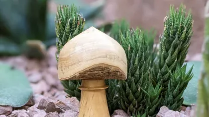 Mushroom ornament beside small evergreen plants in a garden setting