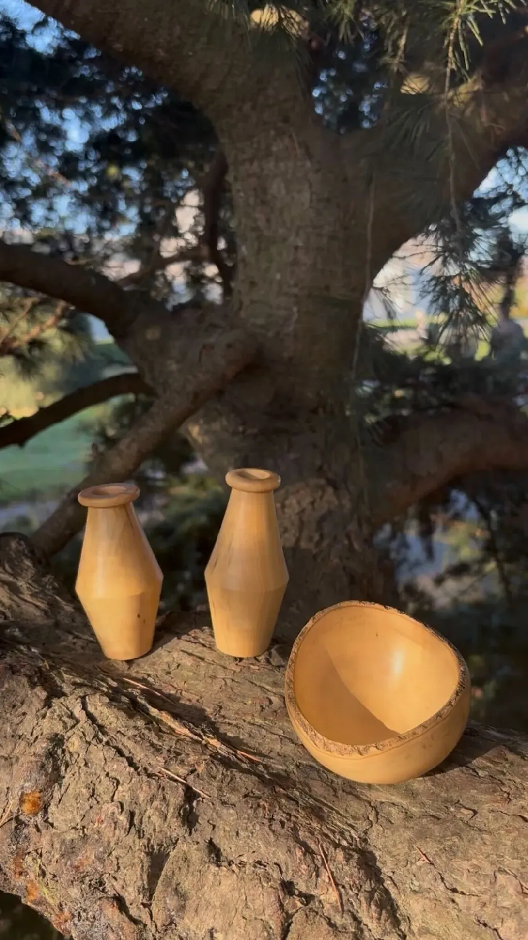 Two handmade wooden vases and one bowl resting on a tree