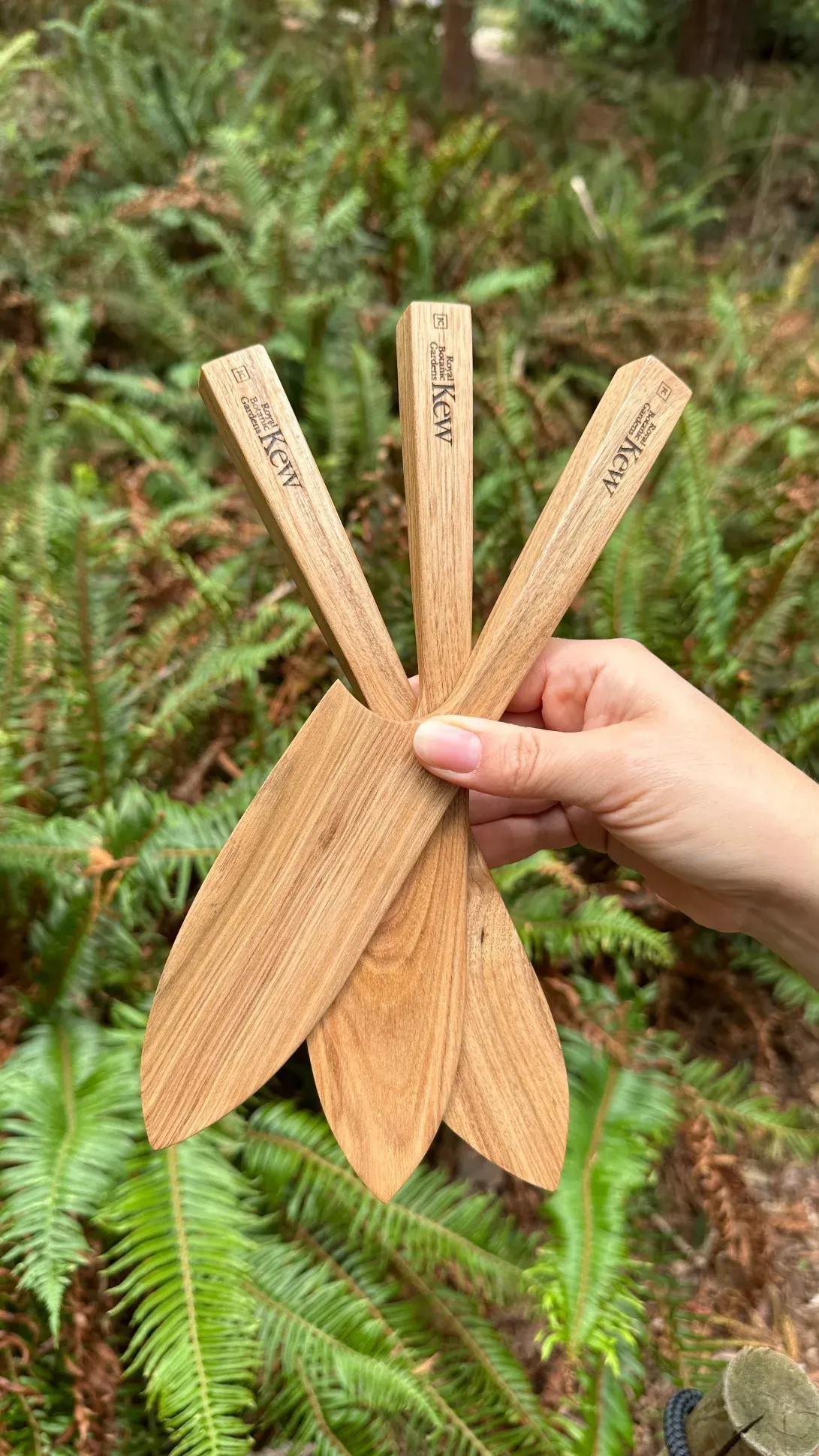 Handmade wooden knives against a backdrop of ferns