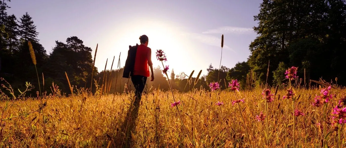 Woman walking through Bloomers Valley at Wakehurst under the sunset