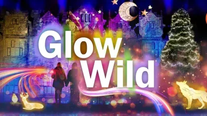 Glow Wild 2025