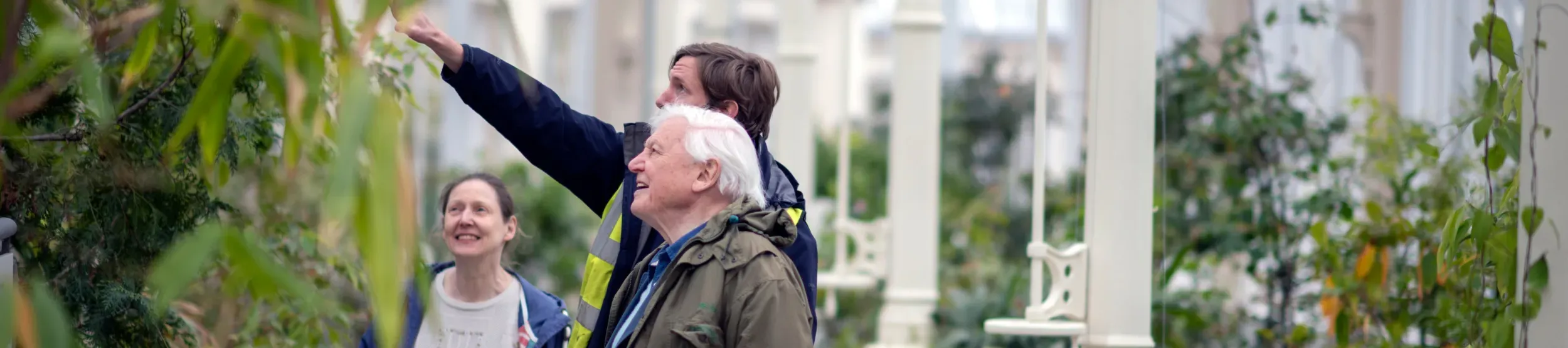 Sir David Attenborough in the Temperate House at Kew Gardens