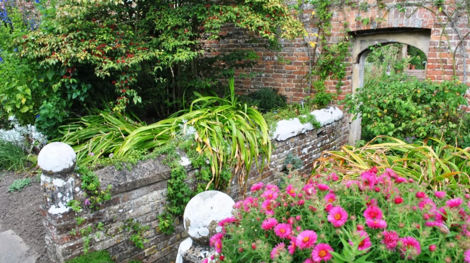 Colourful plants around a brick stairwell and doorway