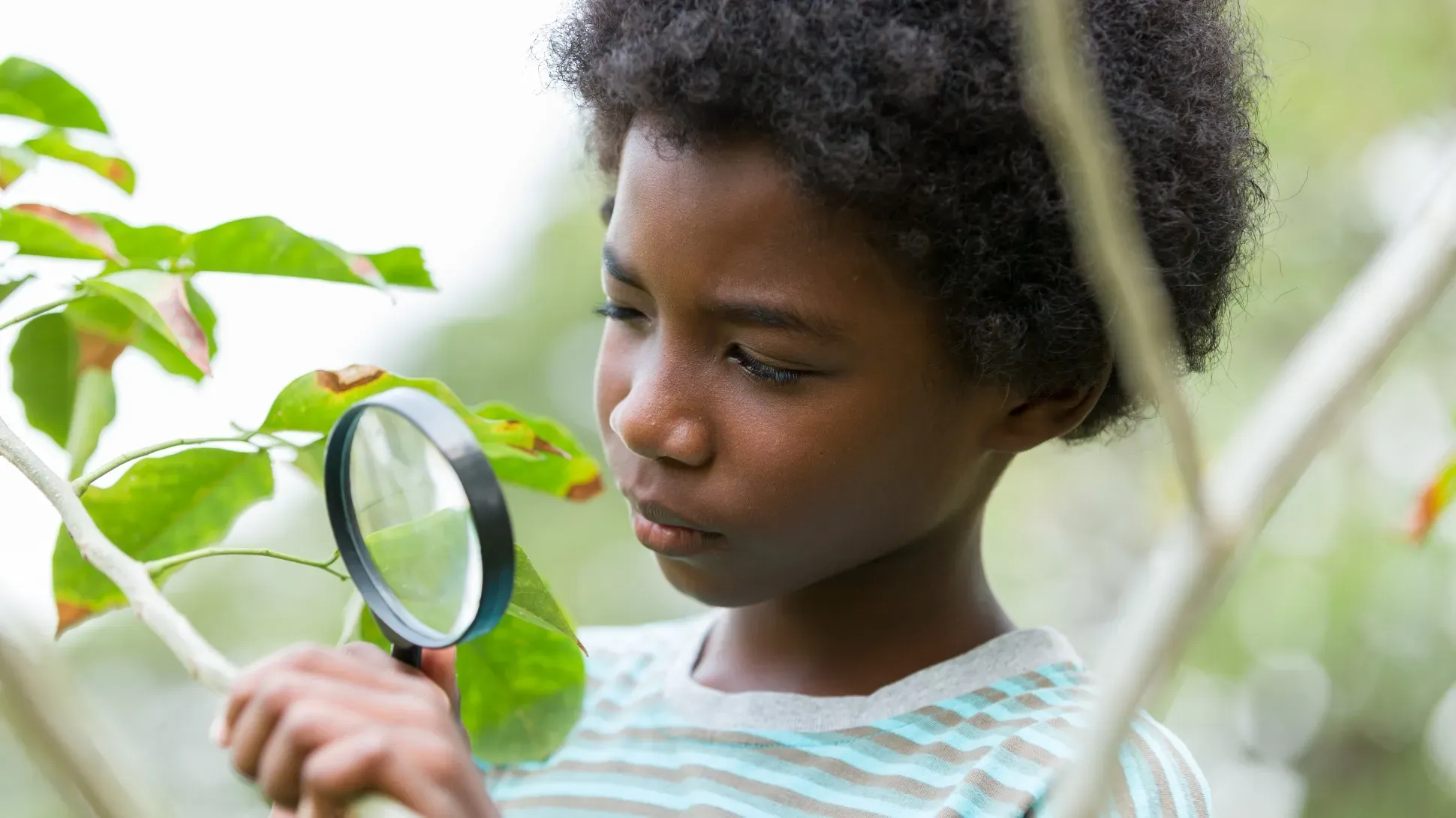 Kid inspecting a plant with a magnifying glass