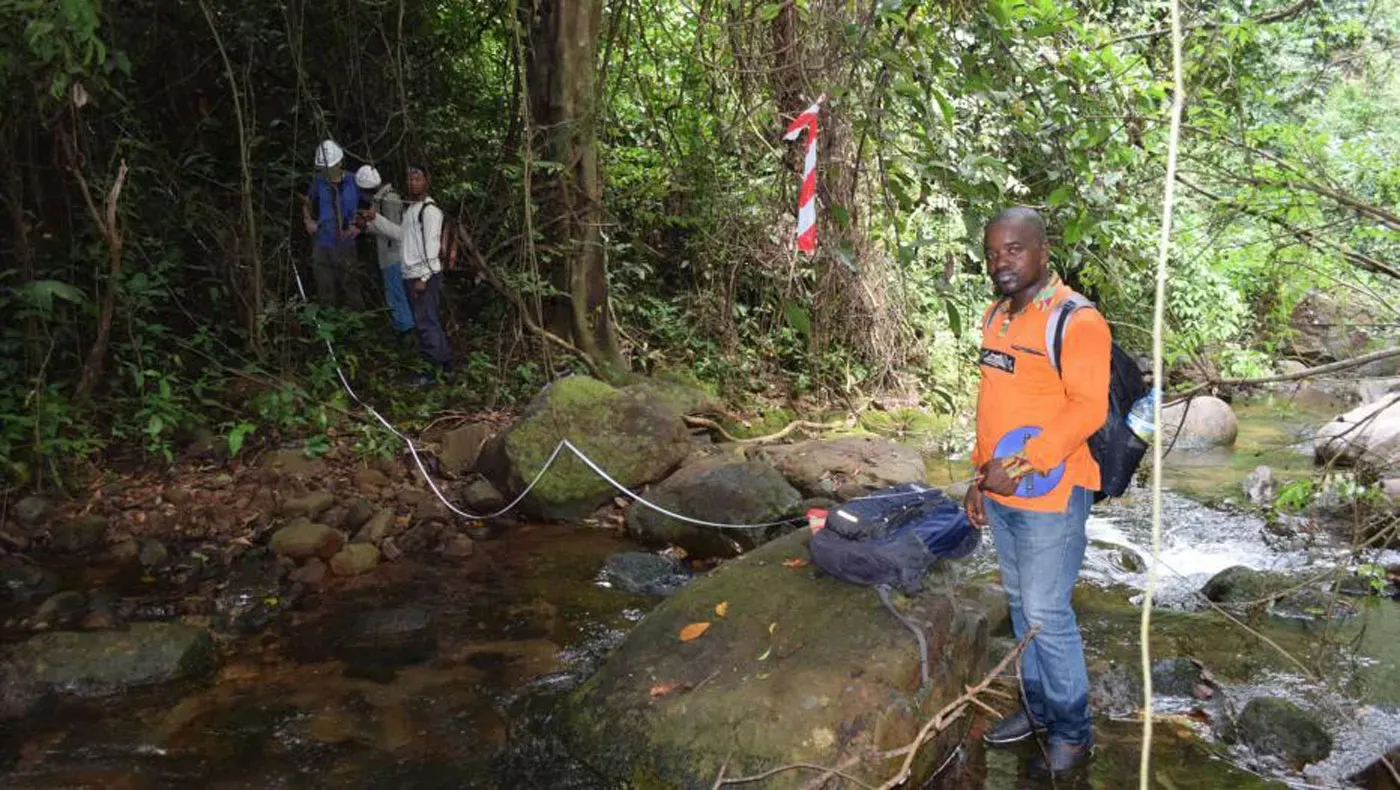 In a forest in Guinea