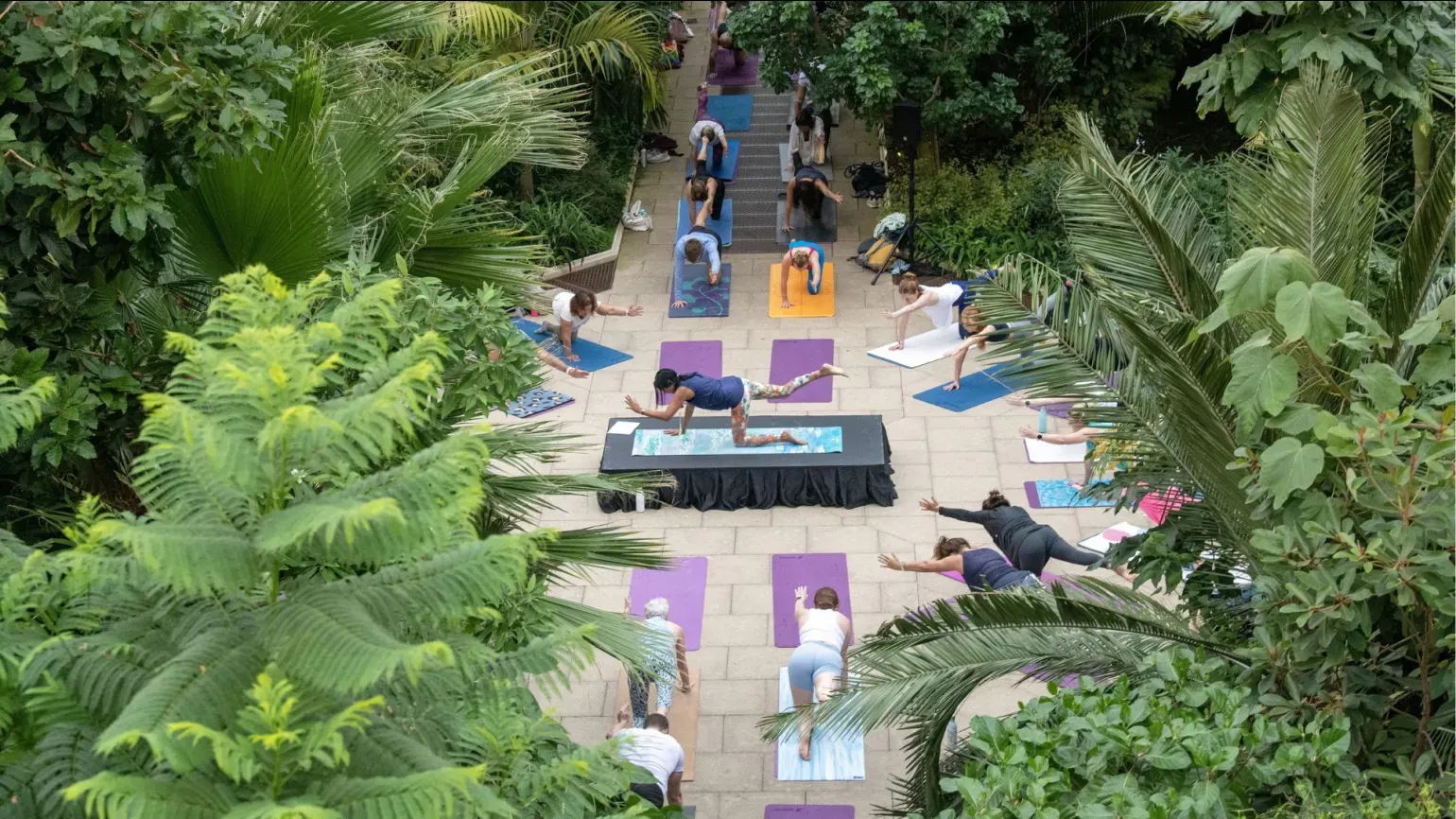 Yoga session in Temperate House 