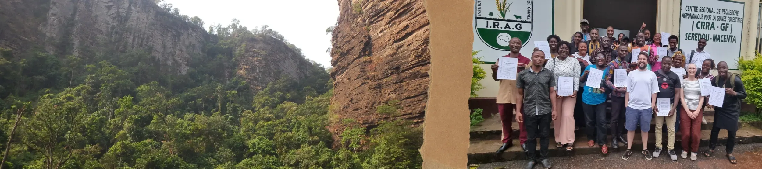 Image of Guinea landscape and Plant Identification course