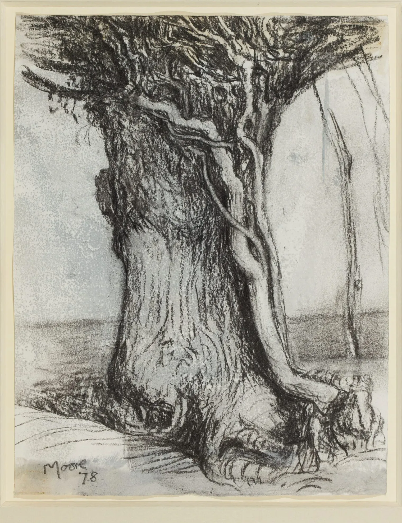 Drawing of Tree with Ivy (Oak and Ivy) by Henry Moore, in 1978. 