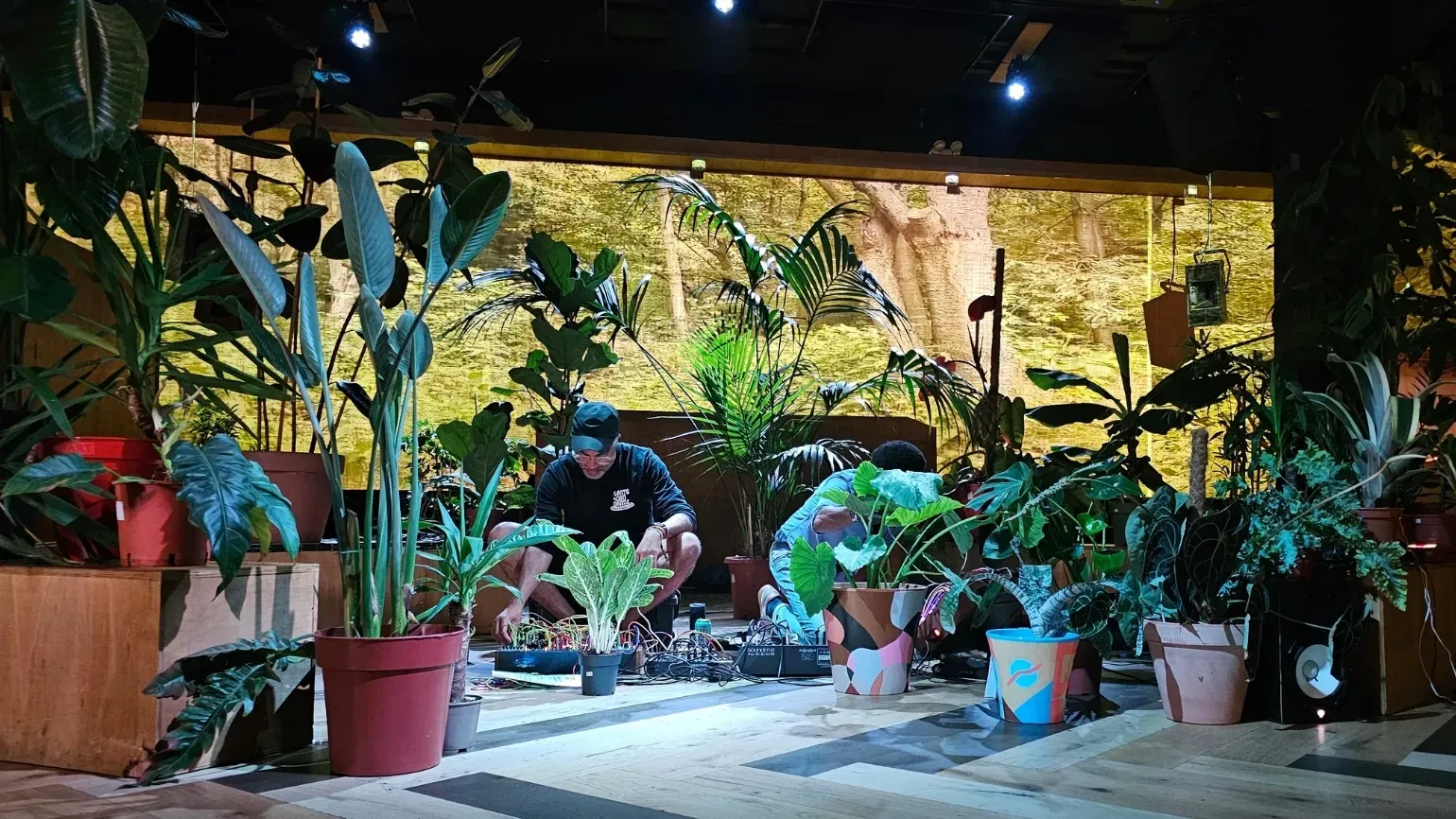 Man sitting on the floor in a atmospheric, dark room playing a DJ set. He is surrounded by plants.