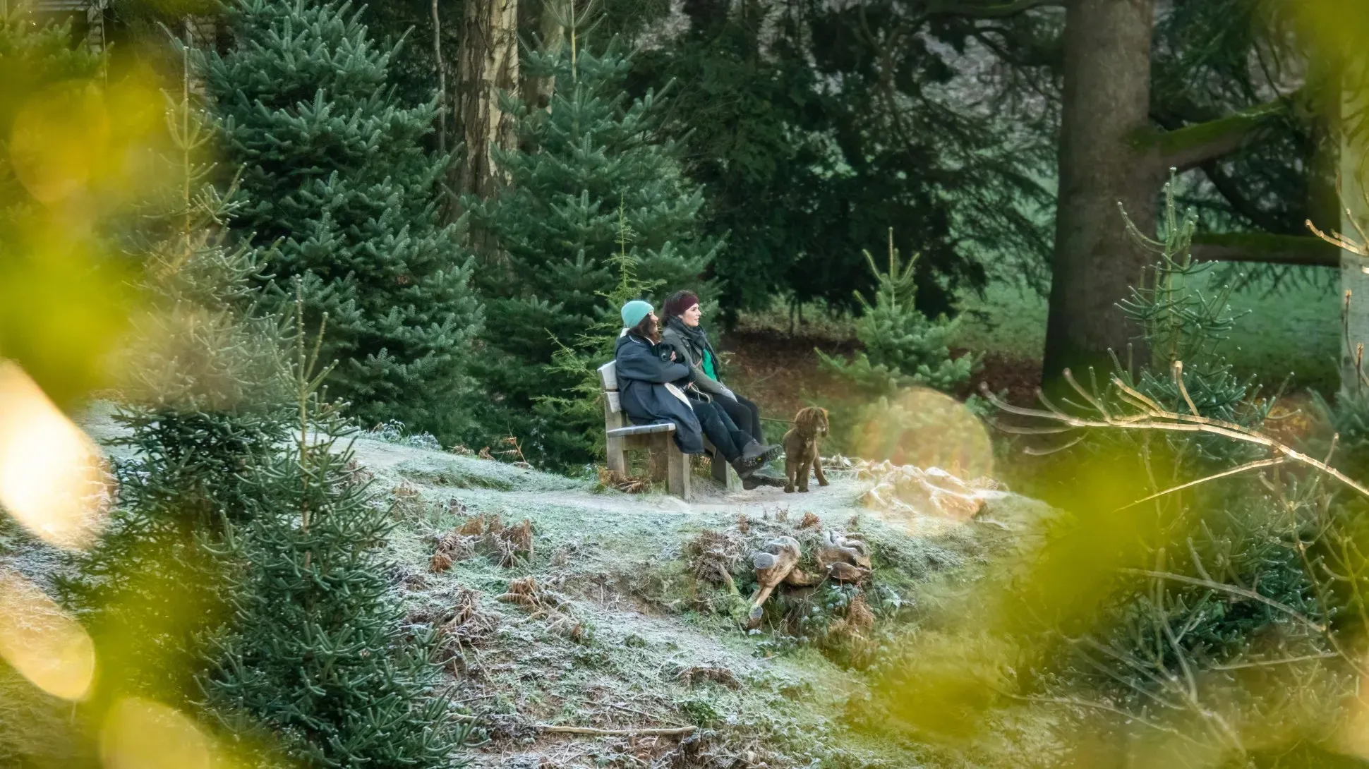 Two people sitting on a bench enjoying the views with their dog