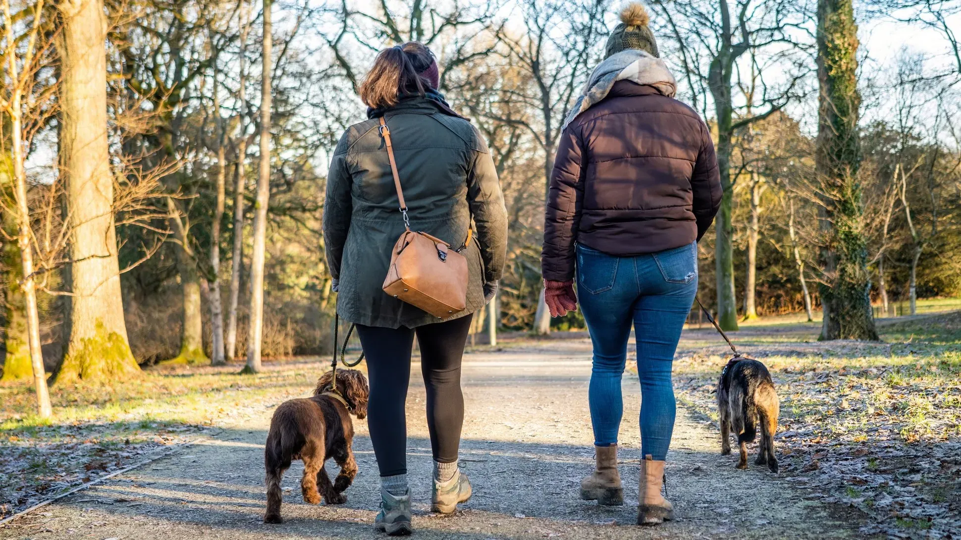 Two people walking their dogs in the Wakehurst landscape