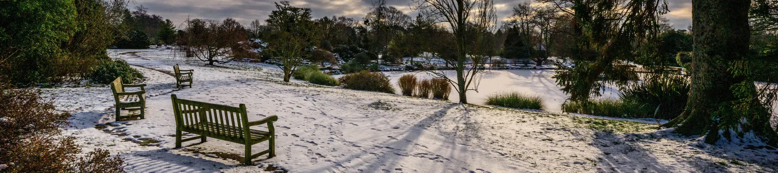 Two benches by a snowy path, in front of a snowy pond. 