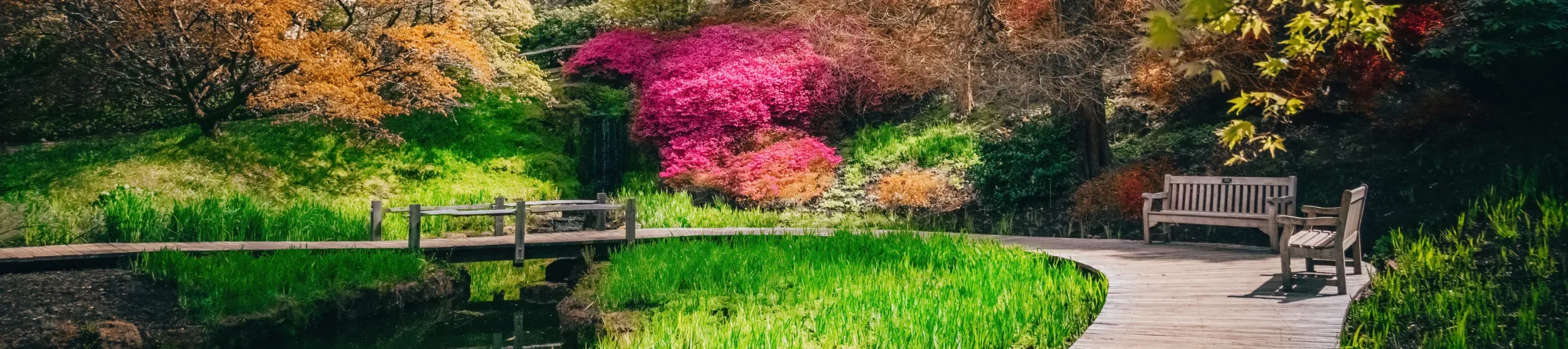 Benches in the Iris Dell
