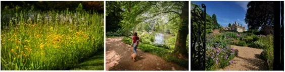 Wakehurst for June Listings