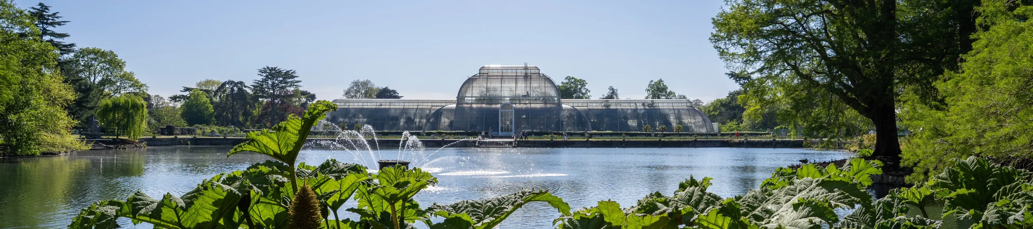 Palm House across the Palm House Pond