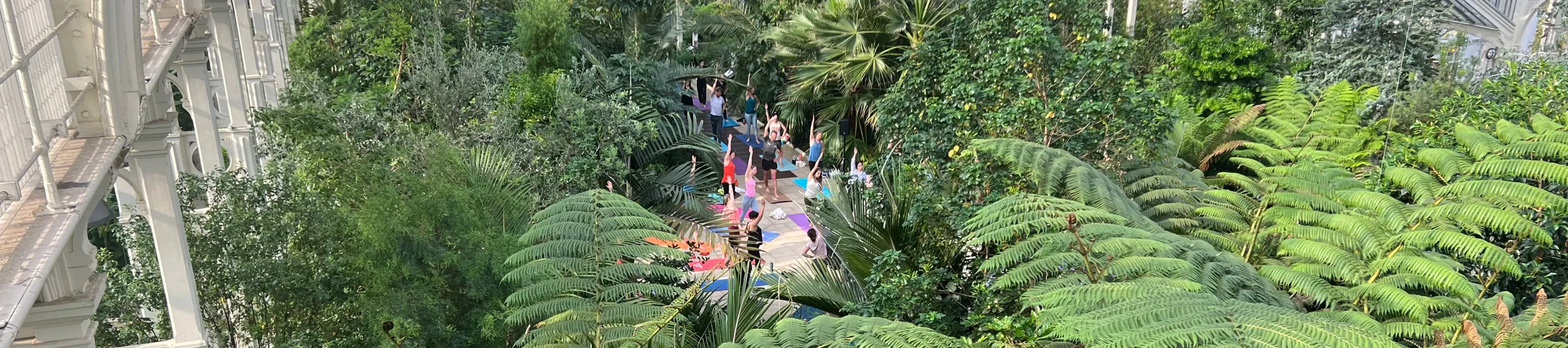 Yoga session in Temperate House 