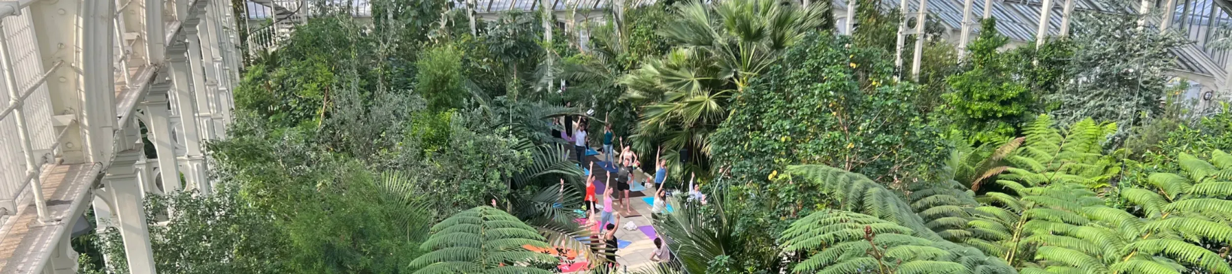 Yoga session in Temperate House 