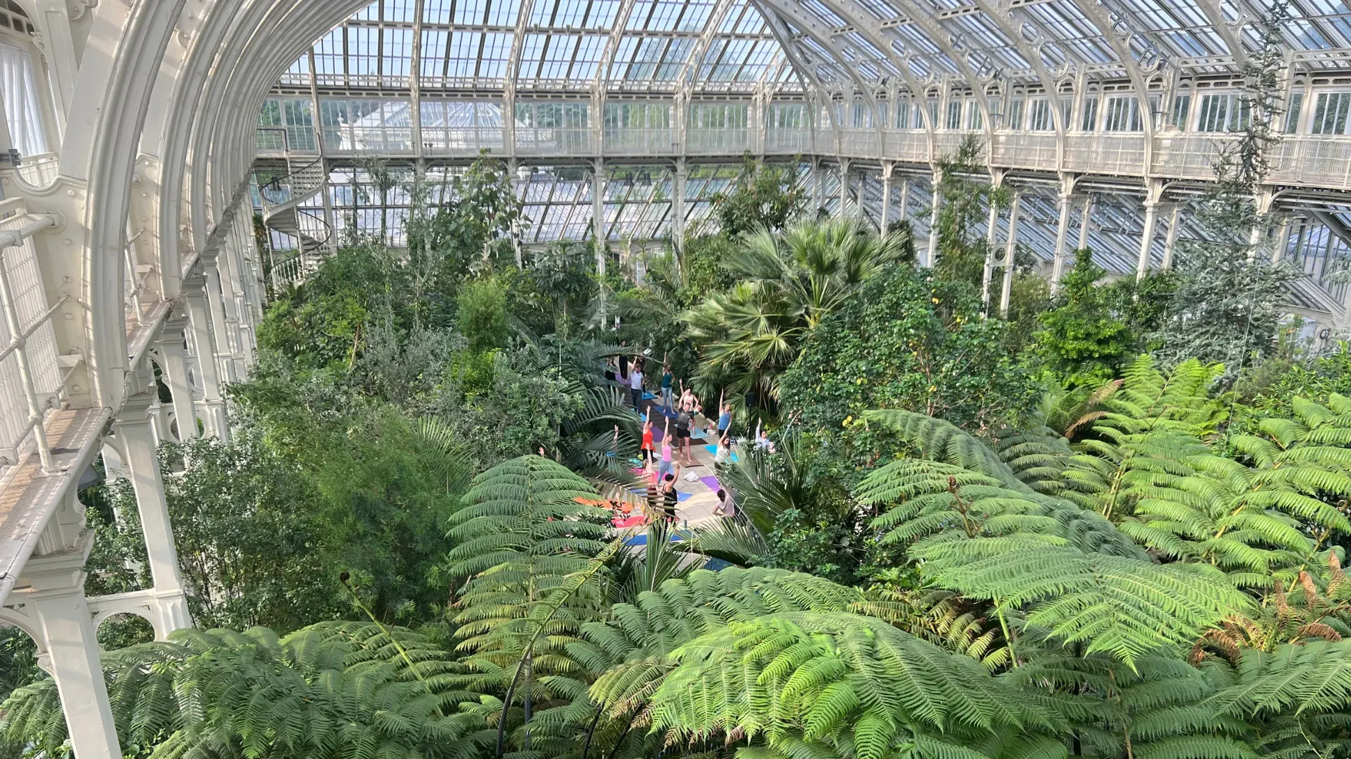 Yoga session in Temperate House 