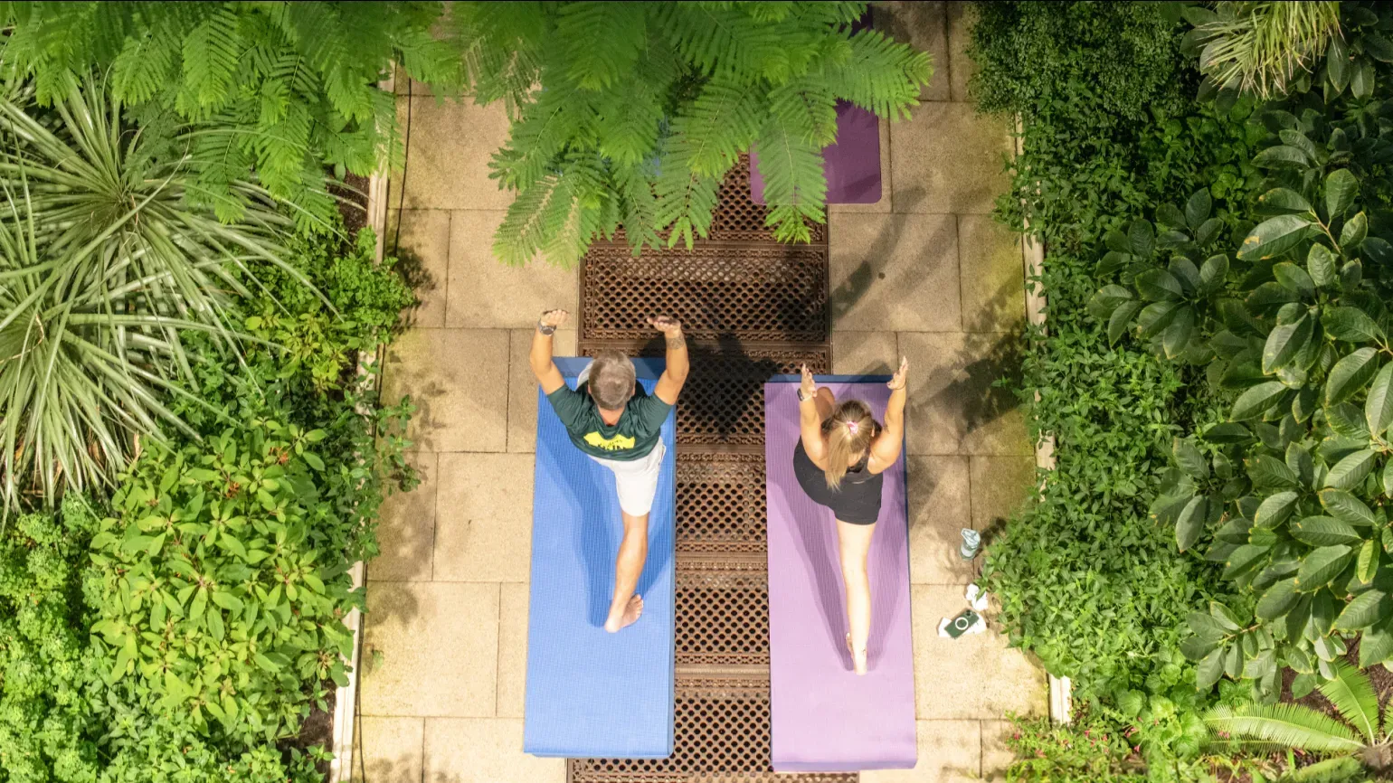 Yoga session in Temperate House 
