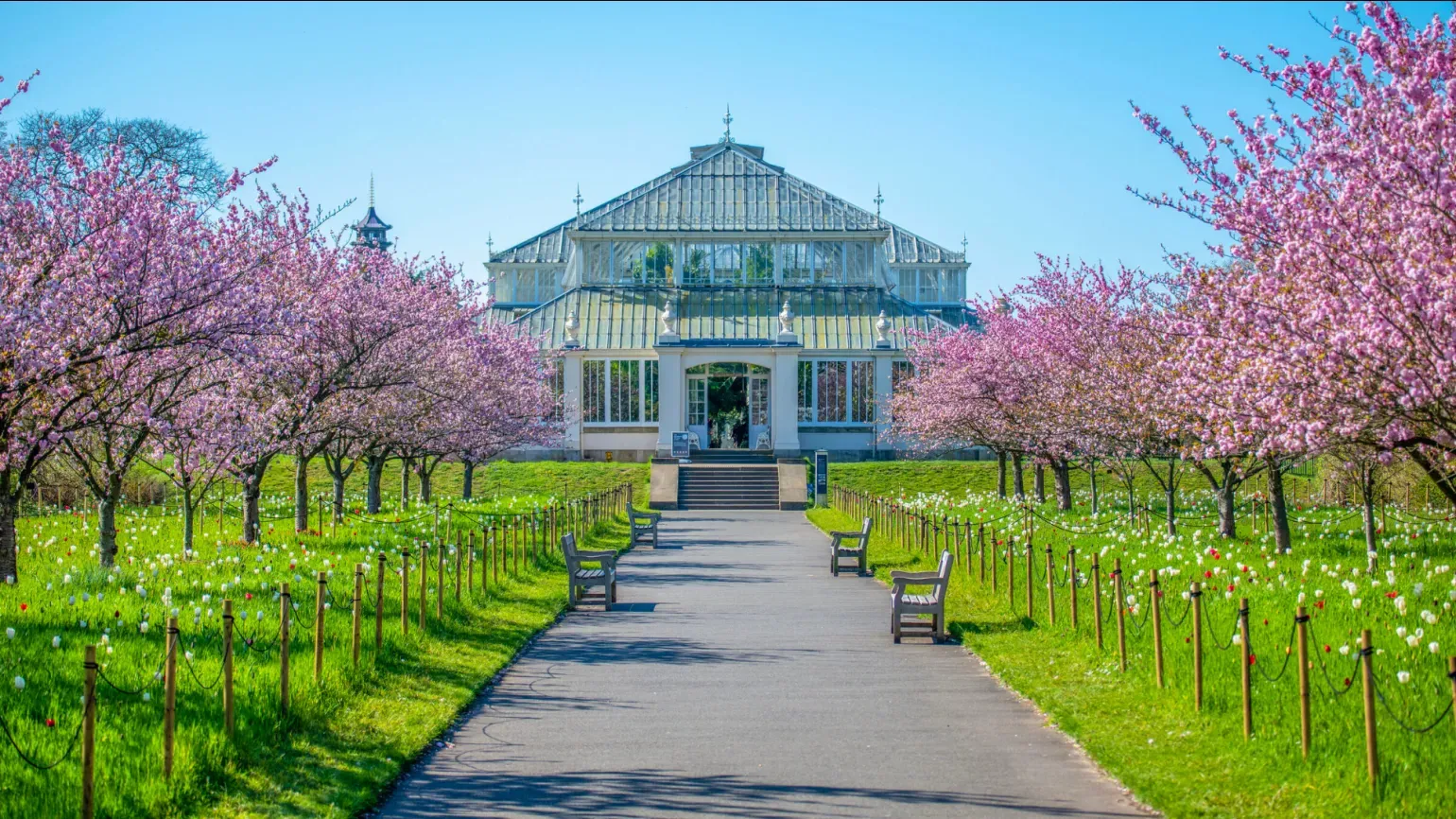 Temperate House 